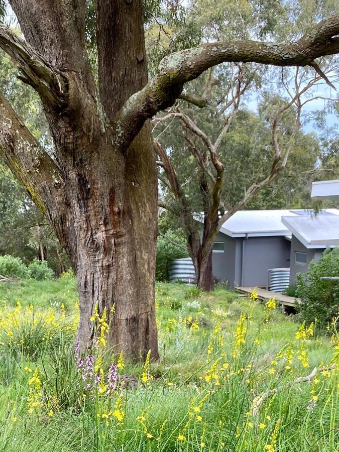 Messmates Luxury Eco Suites Inverloch Extérieur photo